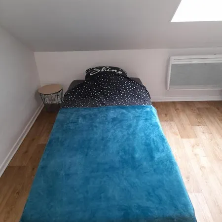 Apartamento Proche De Neoma Et De La Cathedrale De